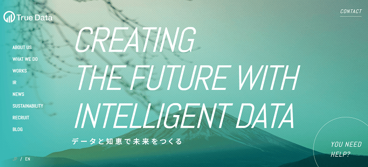 True Dataの画像
